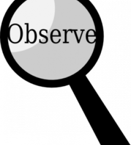 Observation logo