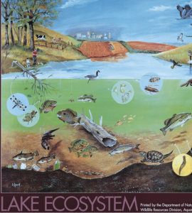 Lake ecosystem