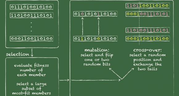 population biology model