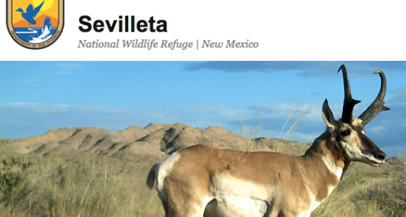 Sevilleta nwr